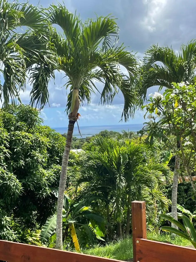 Holiday home Habitation Loumavi Villa Sainte-Rose Guadeloupe